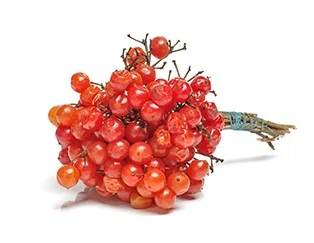 natural energy supplement Cramp-Bark