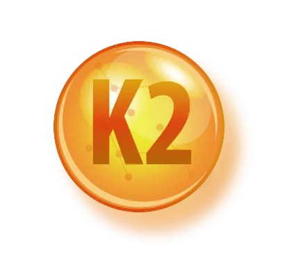 k2
