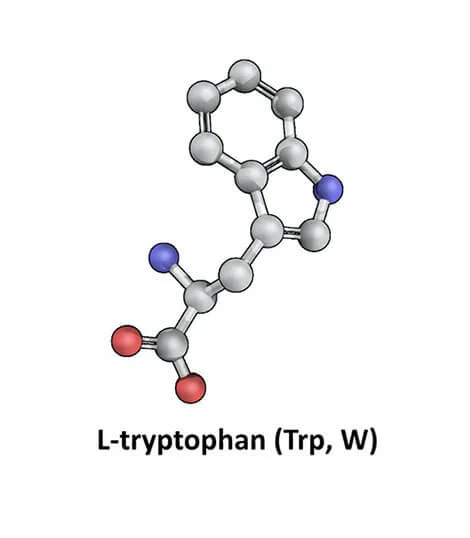 l-tryptophan