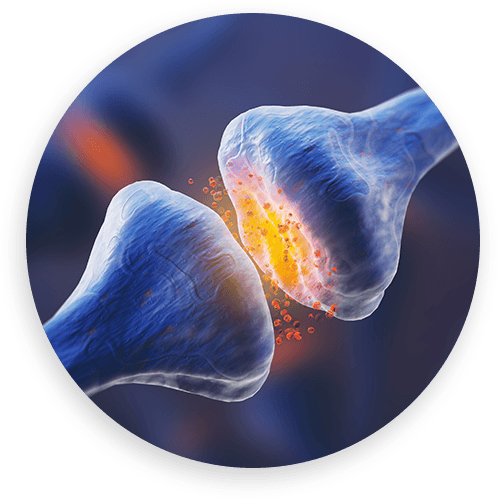 natural energy supplement neurotransmitter