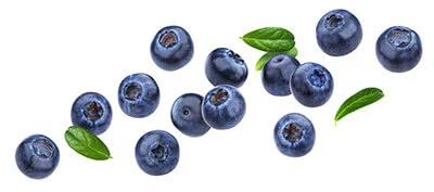 blueberry-mobile