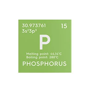 phosphorus 